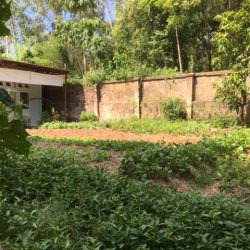 potager orphelinat vietnam